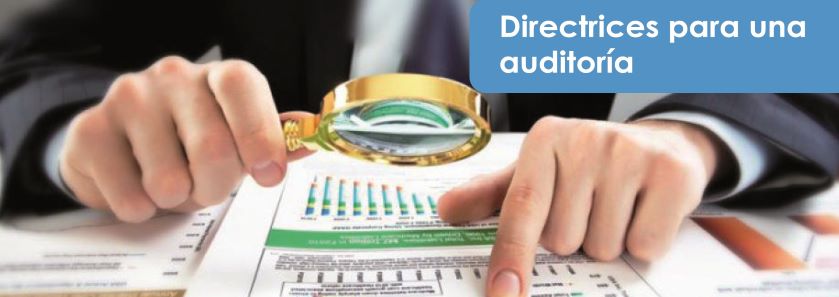 ARTCULO DIRECTRICES PARA UNA AUDITORA 2 banner