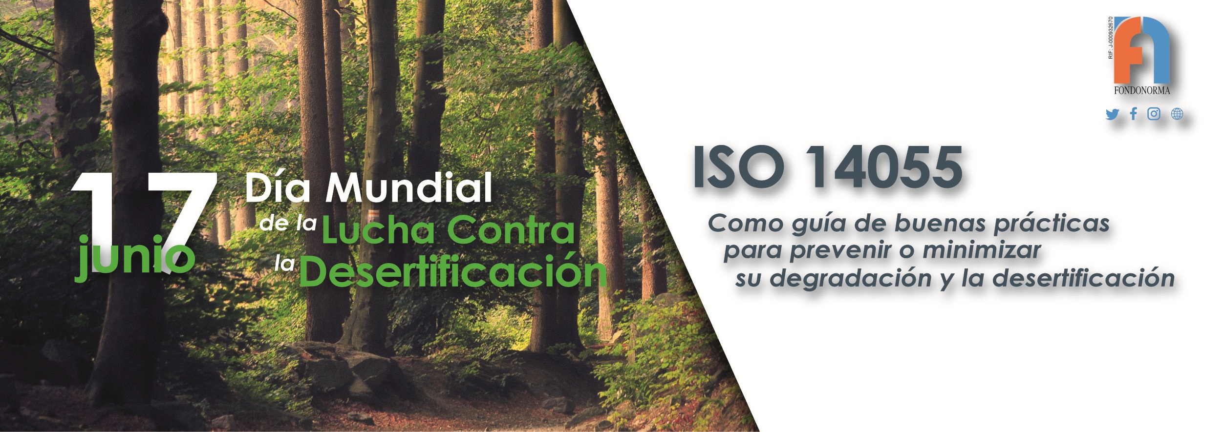 BANNER DIA INTERNACIONAL DE LA DESRTIFICACION